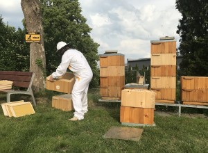 med našich včel